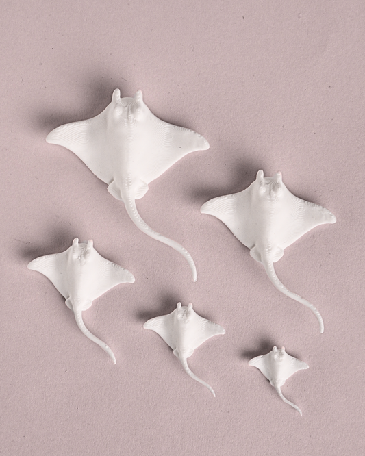 3D Printed Manta Ray Miniature Figure (Set Of 5)