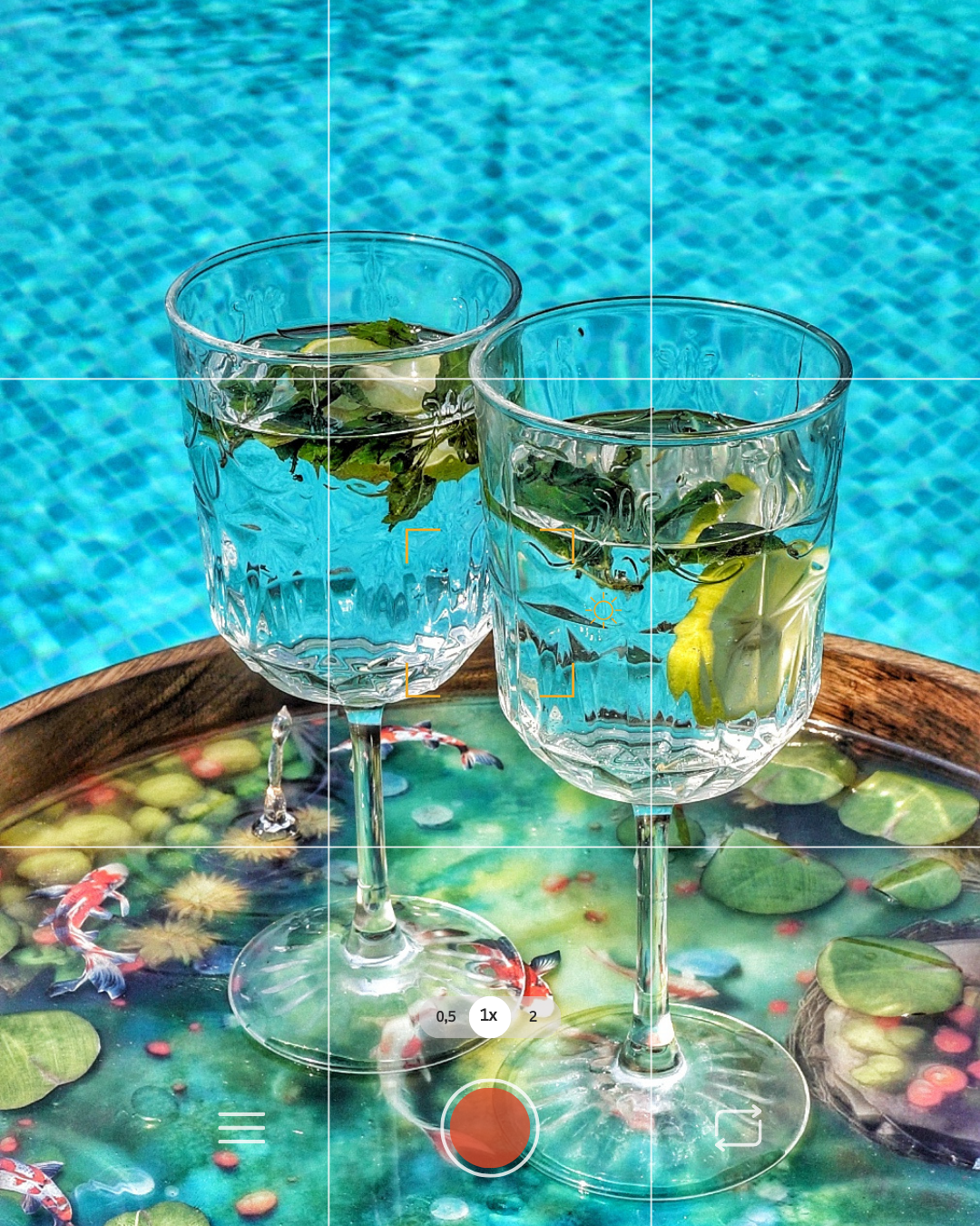 Combo (Floating Pond & Leafscape) DIY Kit