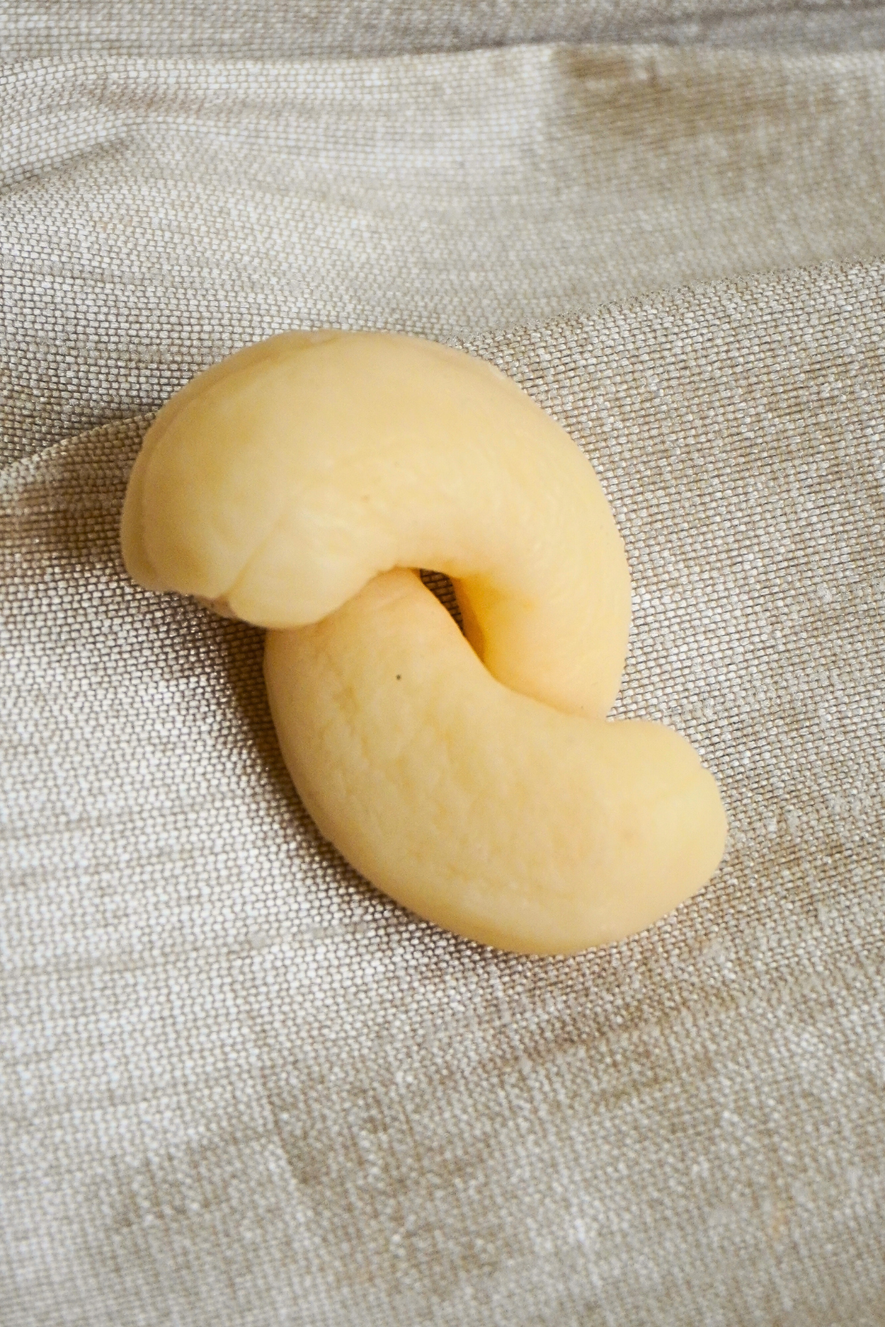 Almond & Cashew Mould/ Kaju Badaam Mould
