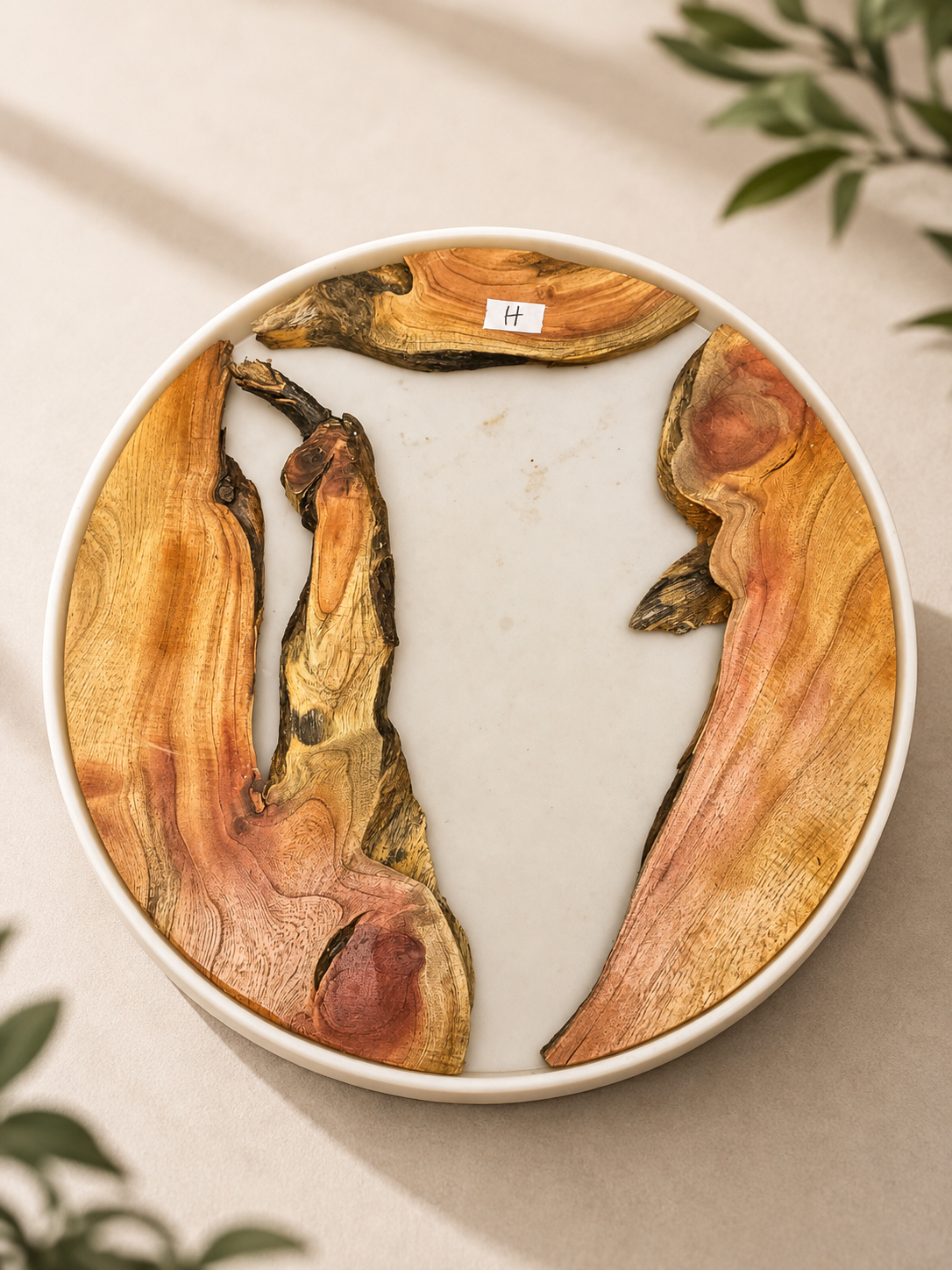 Wooden log - H