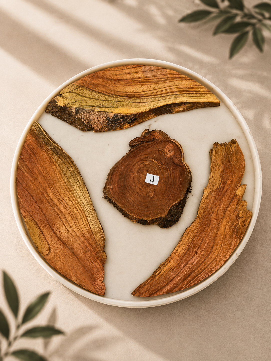 Wooden log - J