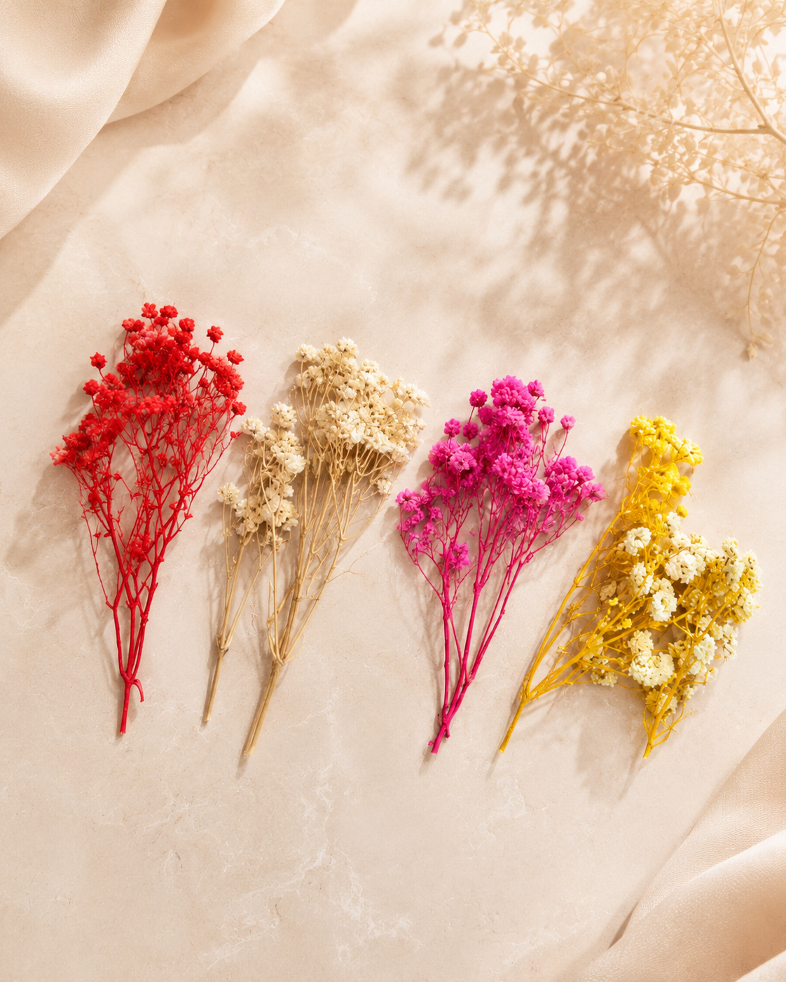 Dried Baby's Breath - Mix of 4 Colors