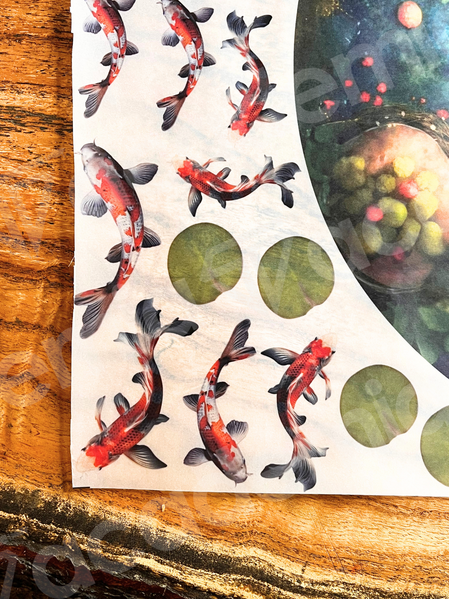 Fish Pond Printout Sheet A2 Size