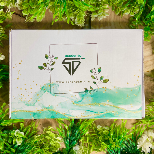 RESIN SHELL- DIY KIT