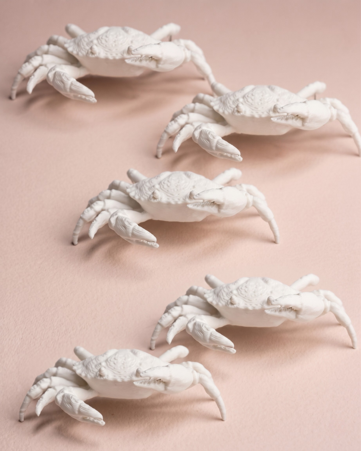3D Printed Crab Figurine (Set Of 5)
