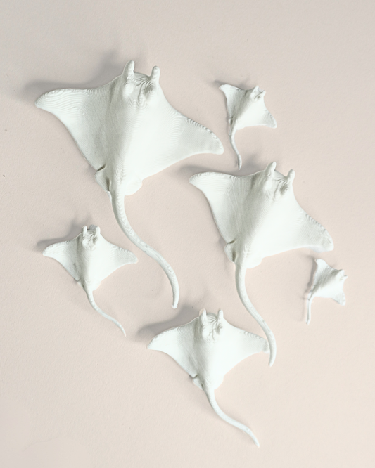 3D Printed Manta Ray Miniature Figure (Set Of 5)