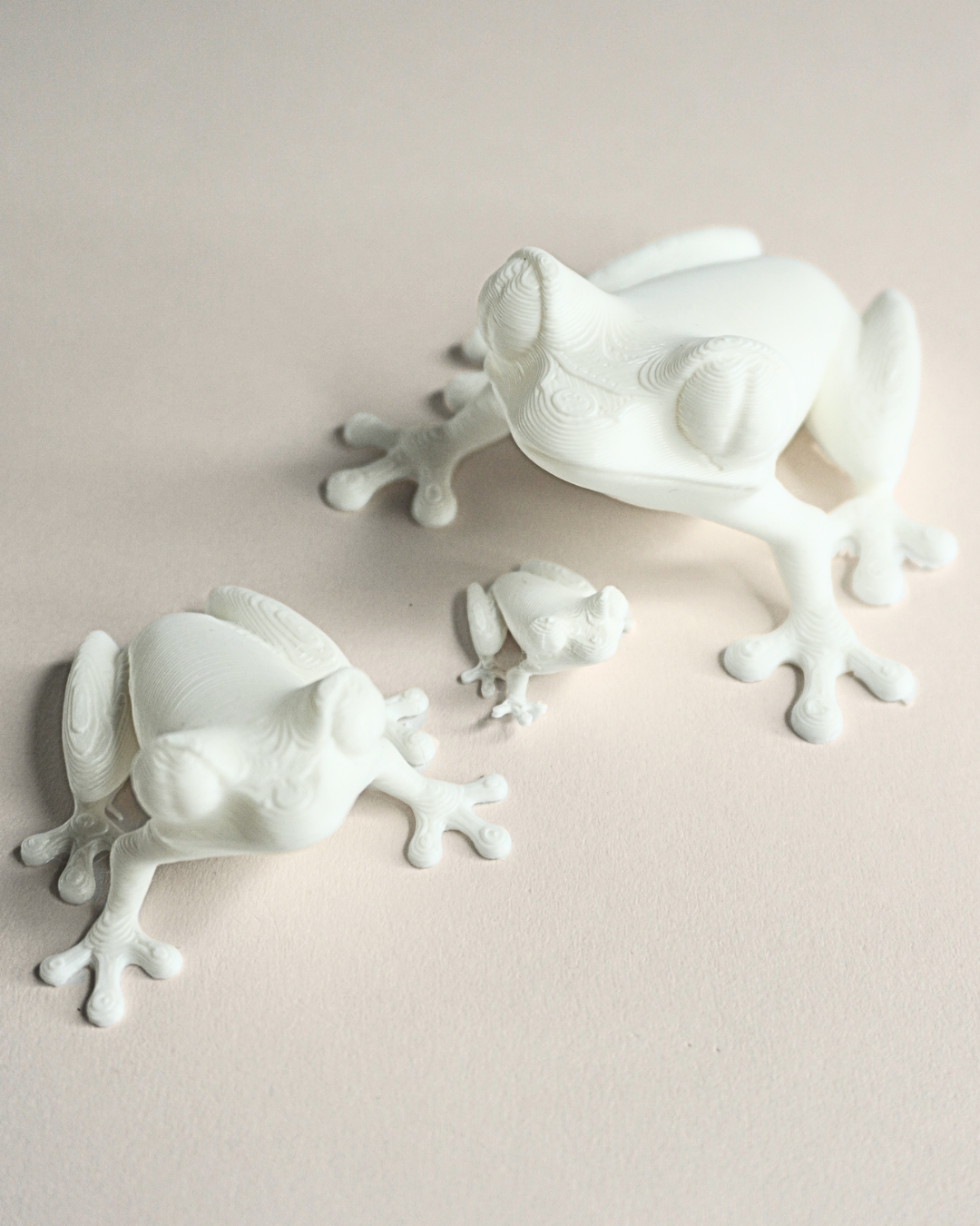 3D Printed Frog Figurine (Set Of 5)
