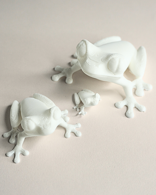 3D Printed Frog Figurine (Set Of 5)