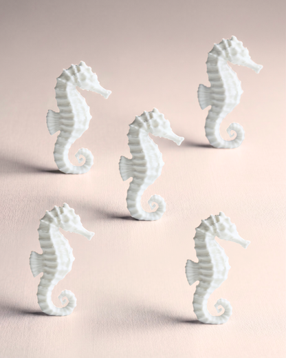 3D Printed Sea Horse Figurine (Set Of 5)