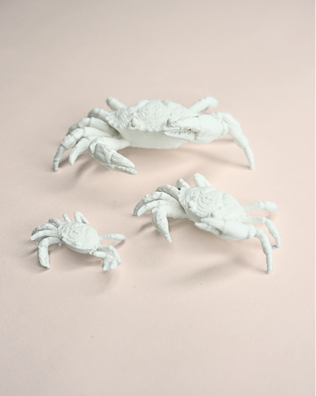 3D Printed Crab Figurine (Set Of 5)
