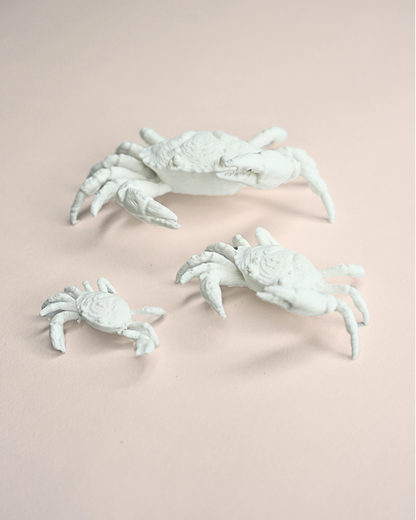 3D Printed Crab Figurine (Set Of 5)