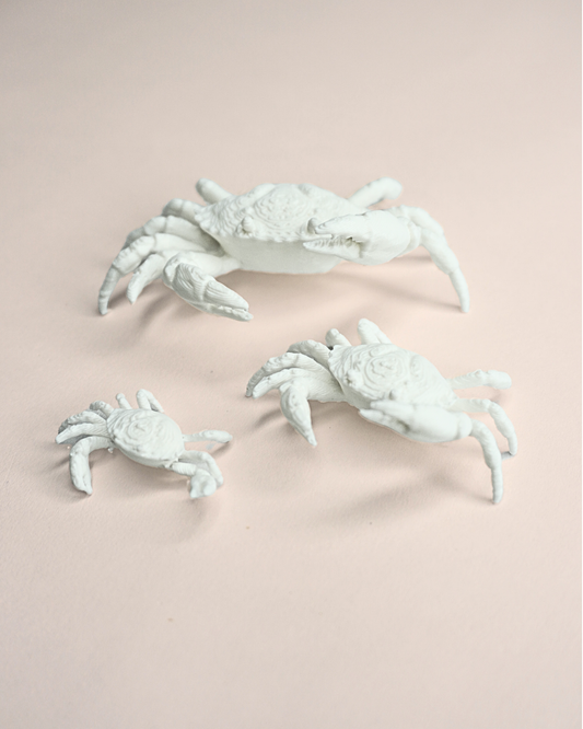 3D Printed Crab Figurine (Set Of 5)
