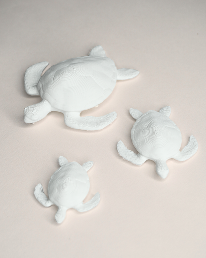 3D Printed Turtle Figurine (Set Of 5)
