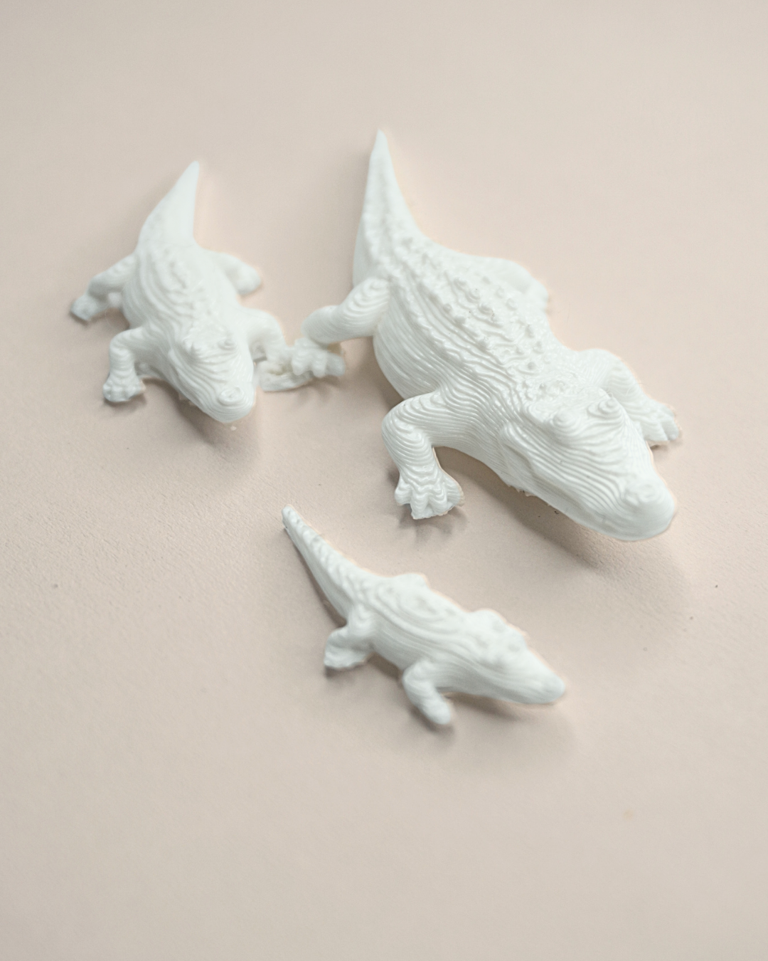 3D Printed Crocodile Figurine (Set Of 5)