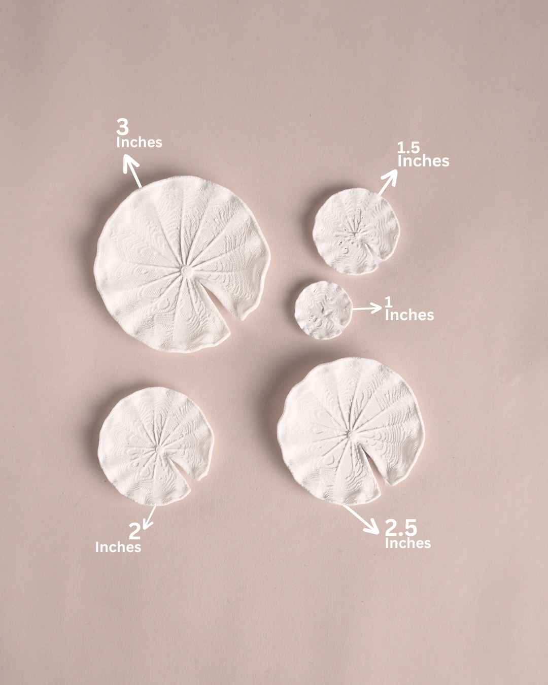 3D Printed Lotus Pond Leaf (Set Of 5)