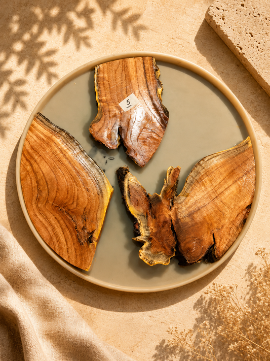 Wooden Logs- 5