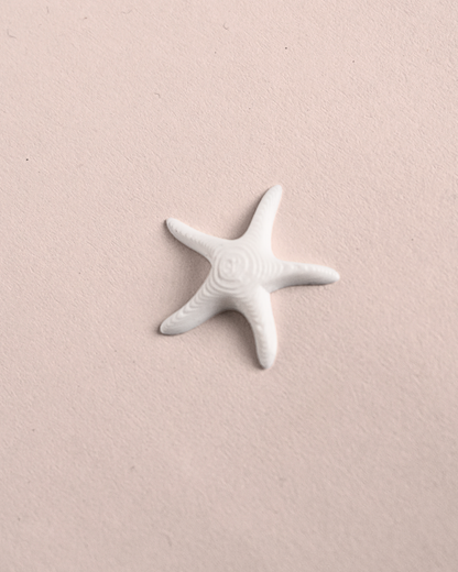 3D Printed Starfish Figurine (1-Inch) - Set Of 5