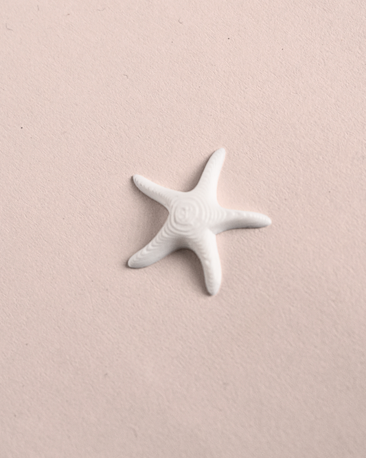 3D Printed Starfish Figurine (1-Inch) - Set Of 5