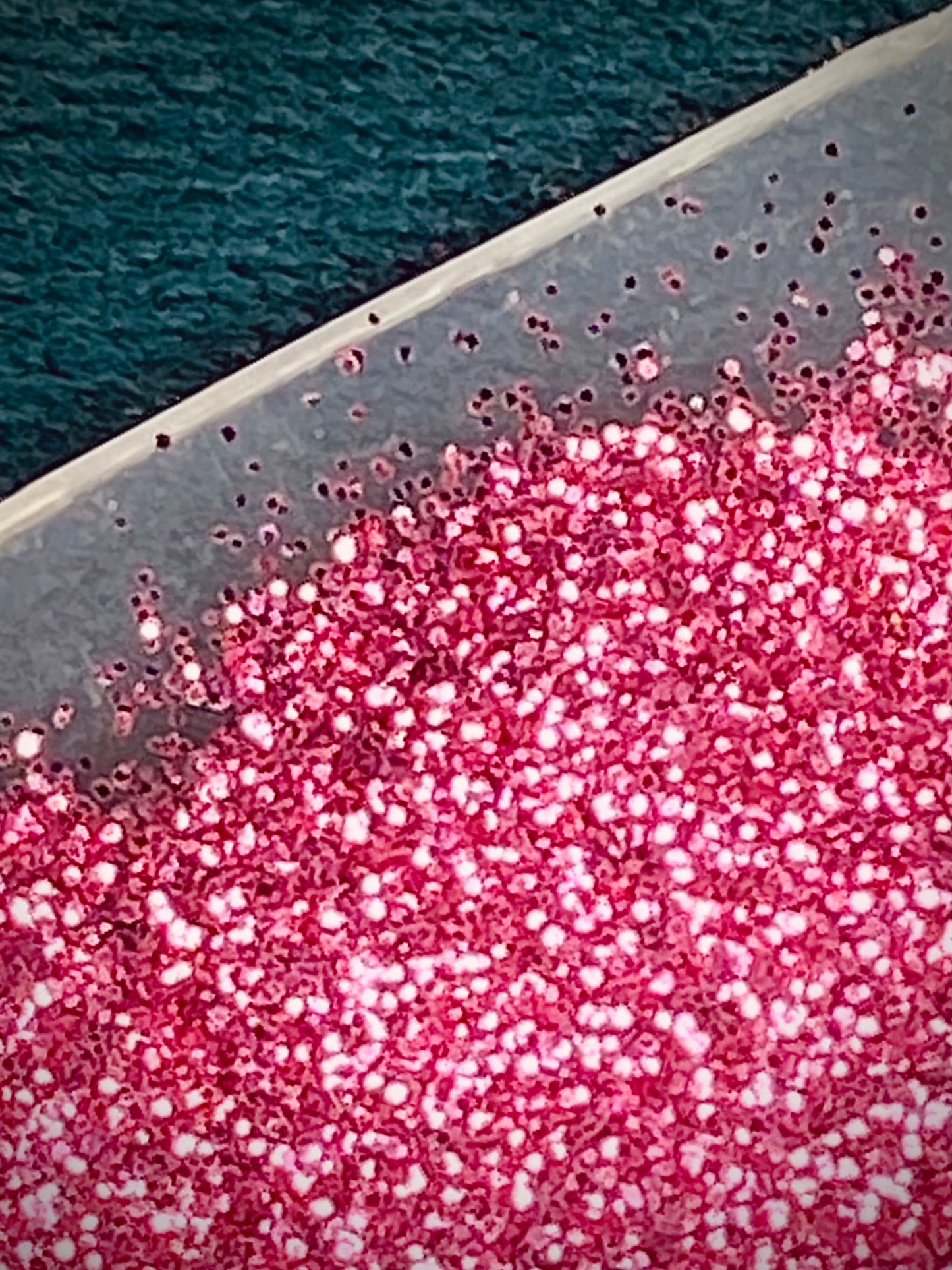 Dark Pink Glitter