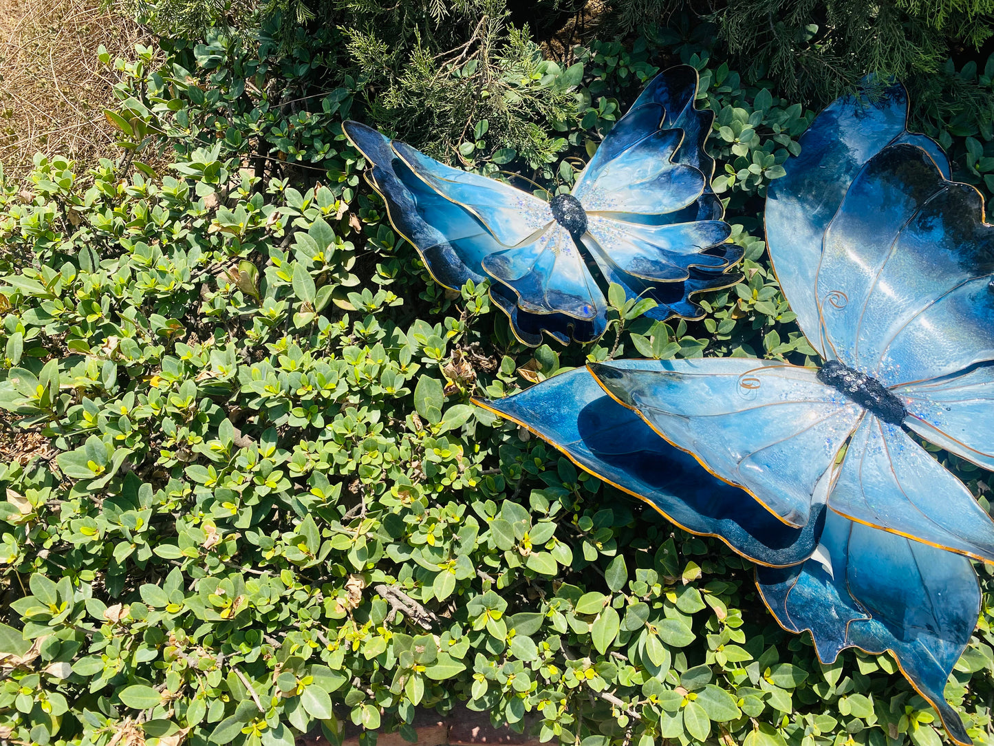 Resin Butterfly- DIY Kit