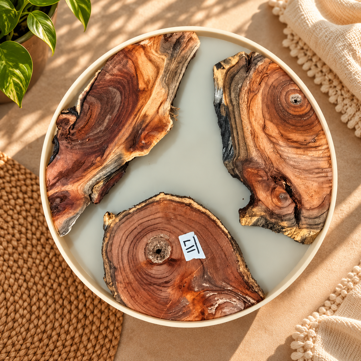 Wooden Logs - 117