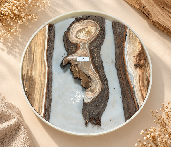 Wooden log - X