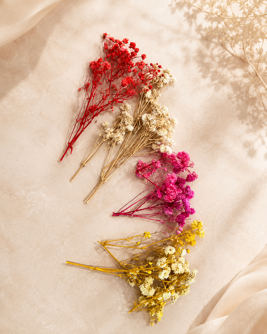 Dried Baby's Breath - Mix of 4 Colors
