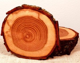 NATURAL POLISHED WOODEN LOG