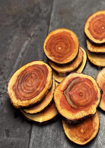 Wooden Log Coasters