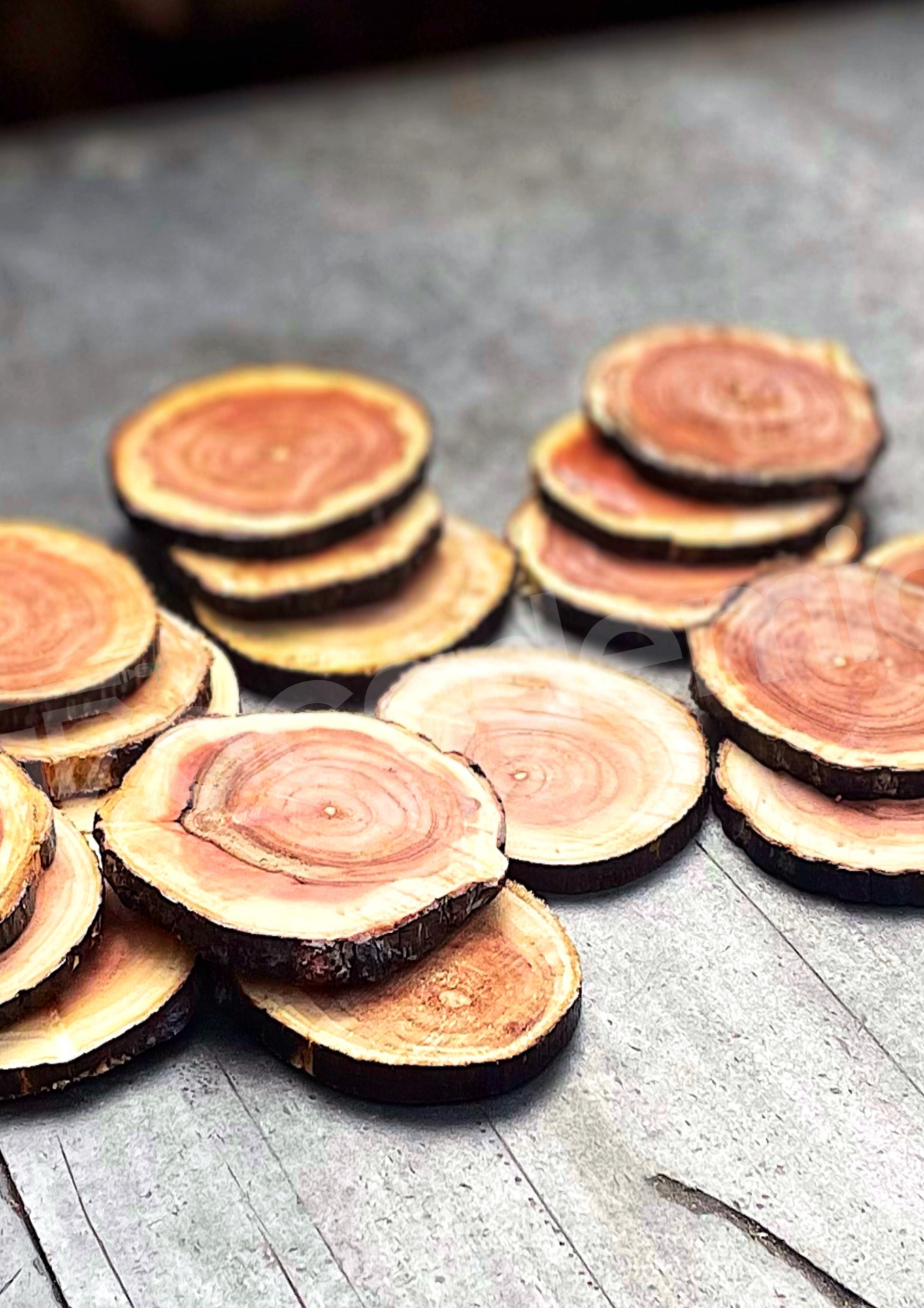 Wooden Log Coasters