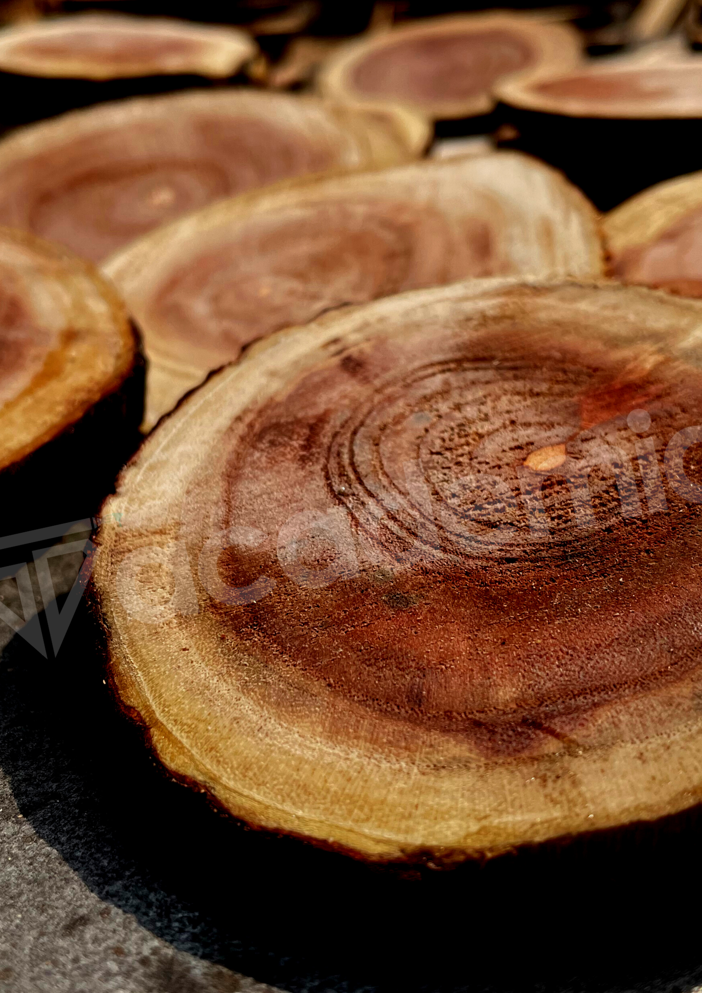 Wooden log coasters