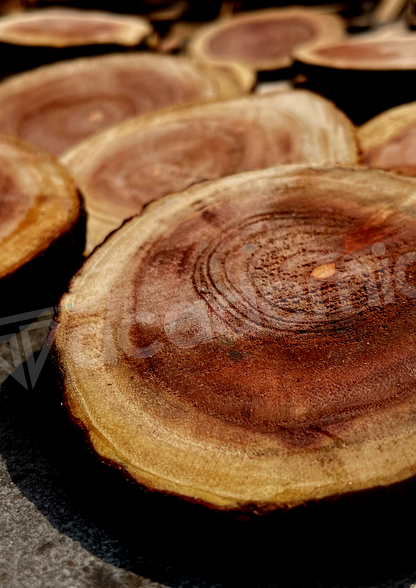 Wooden Log Coasters