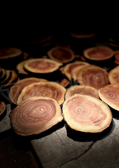 Wooden Log Coasters